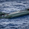 Seenotizen 7: Die «Sea-Watch 4» hat ihr Einsatzgebiet erreicht. Ein erster Notruf erreicht die Crew.