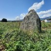 Der Freistein von Attiswil war einst ein Heiligtum, später wurde er zu einer sogenannten Freistatt.