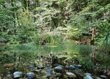 Ein paradiesisches Stück Auwald im Emmental, das fast an den Garten Eden erinnert