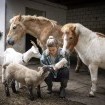 Tiere nicht nutzen, sondern ernstnehmen und respektieren: Tierliebe wird neu gedacht und gelebt