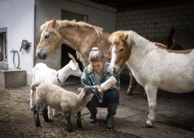 Tiere nicht nutzen, sondern ernstnehmen und respektieren: Tierliebe wird neu gedacht und gelebt