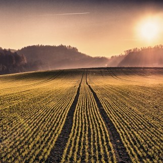 Schon viele haben das Unmögliche gewagt und versucht, die Existenz Gottes zu beweisen.