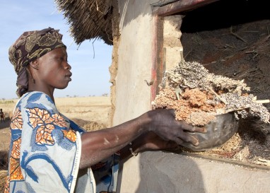 Wie der Markt die Ernährungssicherheit vermindert: Ökumenische Kampagne macht Saatgut zum Thema