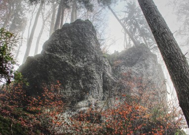 Das Märchen als Vehikel spiritueller Tiefenschichten soll einen eigenen nationalen Tag bekommen