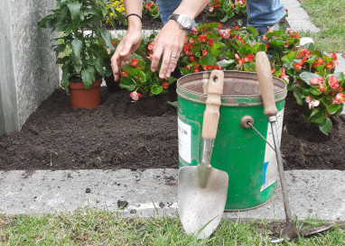Grabpflege führt im Sommer viele Menschen auf dem Friedhof zusammen, vorab in ländlichen Regionen