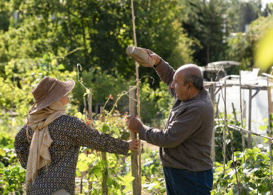 Im interkulturellen Garten vom Heks finden Menschen Bodenhaftung und neue Bekanntschaften